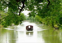 Hangzhou One Day XIxi National Wetland Park Tour