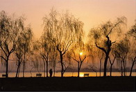 Luxury Night Cruise of the West Lake